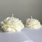 2 Pack Peony Candle Rose Tulip Silicone Wave Spiral Candle Mold